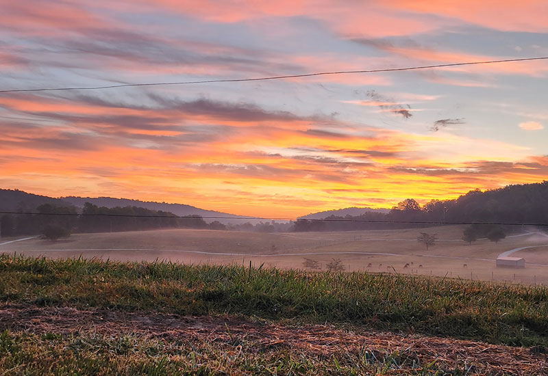 sunset over a field